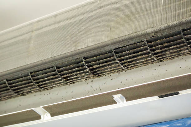 Best Air Duct Cleaning Near Me  in Daingerfield, TX